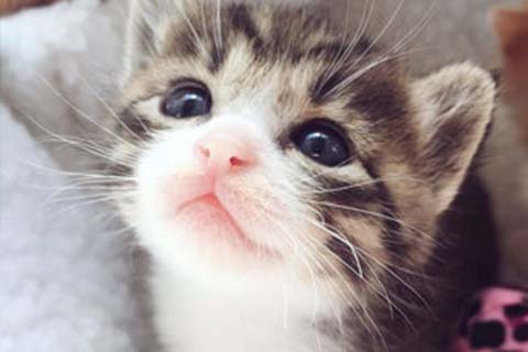 http://ningbo.qqkaixin.com/post/193.html|宁波供卵助孕